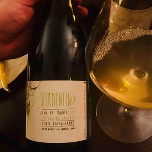 Vermentino - La Graine Sauvage - Sybil Baldassarre 