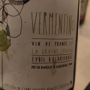 Vermentino - La Graine Sauvage - Sybil Baldassarre 