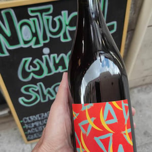 Molt Bo - Jugo Vins - Charlie Prymaka -2021