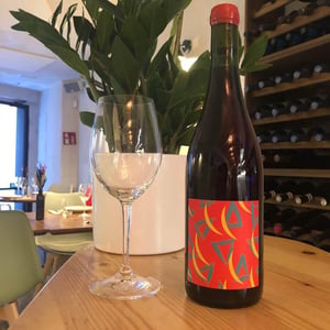 Molt Bo - Jugo Vins - charlie-prymaka -2021