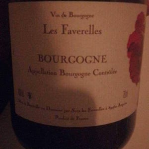 Vezelay - Domaine des Faverelles - Isabelle & Patrick Georgelin 