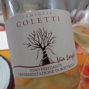 Vini Coletti - Massimo Coletti - Via Larghe 01