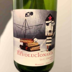 Via Revolucionária Torrontès Brutal - Passionate Wine - matias-michelini-ve