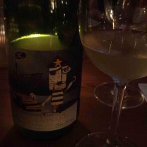 Via Revolucionária Torrontès Brutal - Passionate Wine - Matias Michelini 