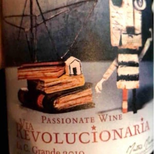 Via Revolucionária Torrontès Brutal - Passionate Wine - matias-michelini-ve