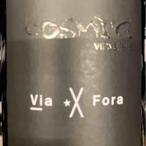 Via X Fora - Còsmic Vinyaters - Salvador Batlle Barrabeig -2019