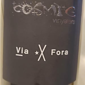 Via X Fora - Còsmic Vinyaters - salvador-batlle-barrabeig -2019