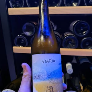 Viaria - Il Mortellito - dario-sorrentino