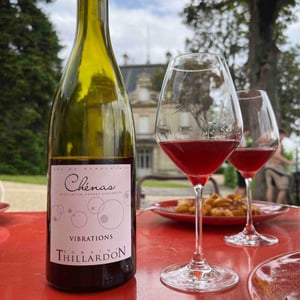 Vibrations - Domaine Thillardon - Aude, Jean-Baptiste, Charles et Paul-Henri Thillardon 