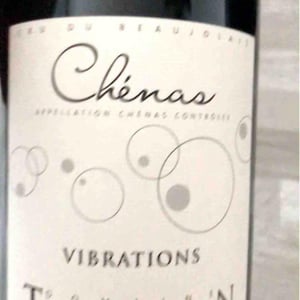 Vibrations - Domaine Thillardon - aude-jean-baptiste-charles-et-paul-henri-thillardon