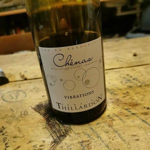 Vibrations - Domaine Thillardon - aude-jean-baptiste-charles-et-paul-henri-thillardon