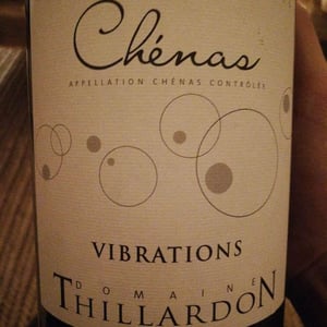 Vibrations - Domaine Thillardon - aude-jean-baptiste-charles-et-paul-henri-thillardon