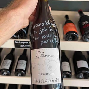Vibrations - Domaine Thillardon - aude-jean-baptiste-charles-et-paul-henri-thillardon