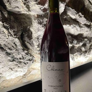 Vibrations - Domaine Thillardon - Aude, Jean-Baptiste, Charles et Paul-Henri Thillardon 