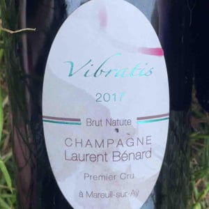 Vibratis - Champagne Laurent Bénard - Michelle, Laurent & Charles Bénard 