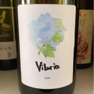 Sifer Wines - Ephraim Orengo - Vibria