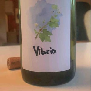 Vibria - Sifer Wines - Ephraim Orengo 