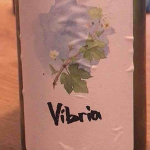 Vibria - Sifer Wines - Ephraim Orengo 