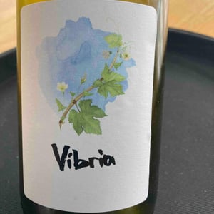 Vibria - Sifer Wines - ephraim-orengo