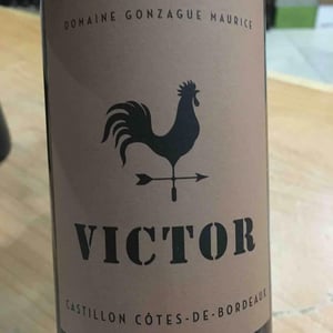 Victor - Gonzague Maurice - gonzague-maurice