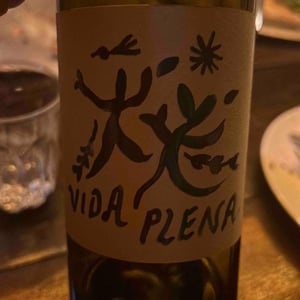 Vida Plena - Adega De Portalegre - philipp-kettern-daniel-niepoort-dirk-niepoort