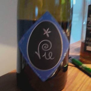 Vie - Clos Massotte - pierre-nicolas-massotte