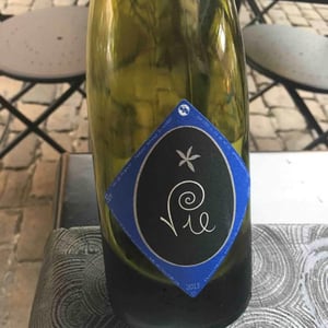 Vie - Clos Massotte - Pierre Nicolas Massotte 