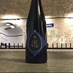 Vie - Clos Massotte - pierre-nicolas-massotte