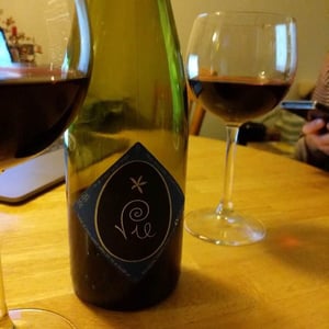 Vie - Clos Massotte - pierre-nicolas-massotte