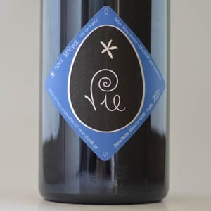 Vie - Clos Massotte - Pierre Nicolas Massotte 