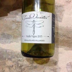 Vieille Vigne - Terres Vivantes - marie-ludovic-gros