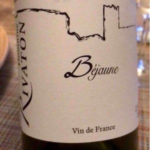Vieilles Vignes - Domaine Rivaton - Frédéric Rivaton 