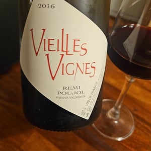 Vieilles Vignes - Le Temps Fait Tout - remi-poujol