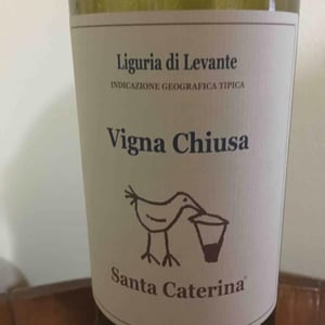 Vigna Chiusa - Santa Caterina - andrea-kihlgren
