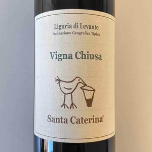 Santa Caterina - Andrea Kihlgren - Vigna Chiusa