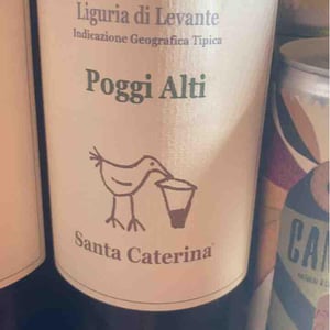 Vigna Chiusa - Santa Caterina - Andrea Kihlgren 