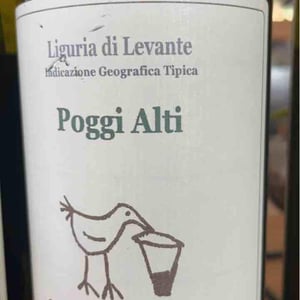 Vigna Chiusa - Santa Caterina - andrea-kihlgren