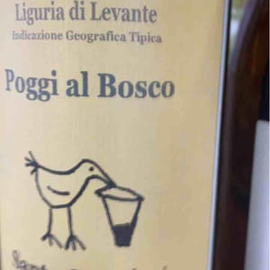 Vigna Chiusa - Santa Caterina - Andrea Kihlgren 