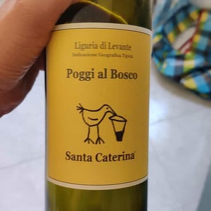 Vigna Chiusa - Santa Caterina - Andrea Kihlgren 