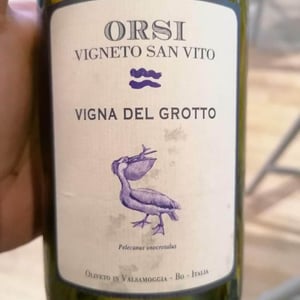 Vigna Del Grotto - Orsi Vigneto San Vito - Federico Orsi 