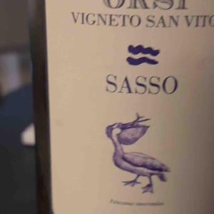 Vigna Del Grotto - Orsi Vigneto San Vito - federico-orsi