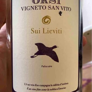 Orsi Vigna Del Grotto