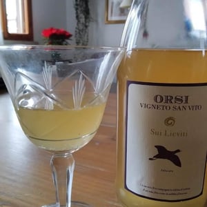 Vigna Del Grotto - Orsi Vigneto San Vito - Federico Orsi 