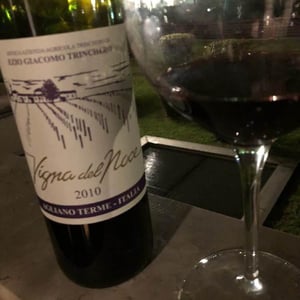 Azienda Agricola Ezio Trinchero - Ezio Trinchero - Vigna del Noce