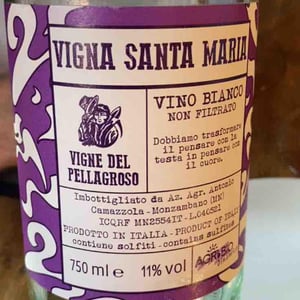 Vigna Santa Maria - Vigne Del Pellagroso - antonio-camazzola -2020