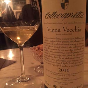 Vigna Vecchia - Collecapretta - Anna & Vittorio Mattioli 