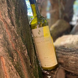 Vigna Vecchia 2018