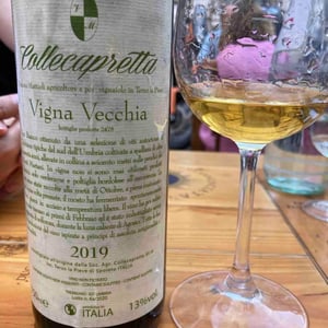 Vigna Vecchia - Collecapretta - Anna & Vittorio Mattioli 