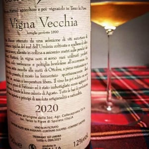 Vigna Vecchia - Collecapretta - anna-vittorio-mattioli