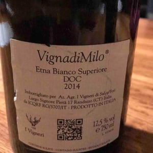 VignadiMilo - I Vigneri - Salvo Foti 